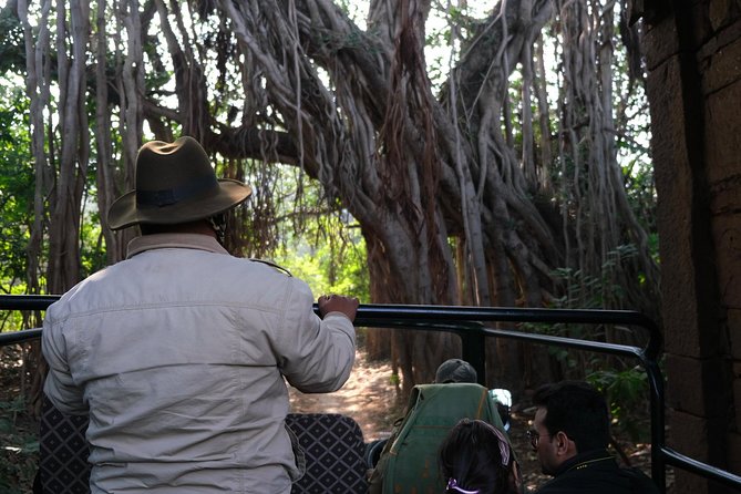 Full-Day Tour of Ranthambore From Jaipur - The Sum Up