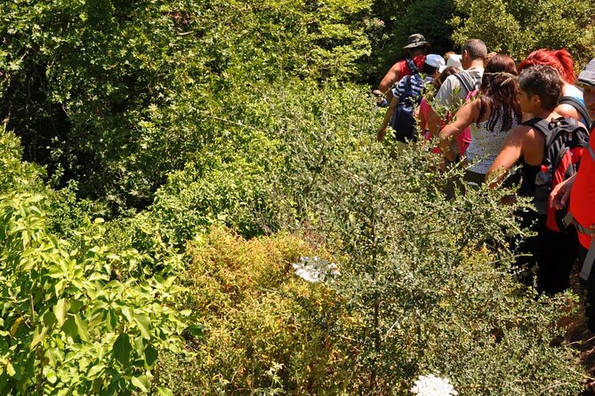 Full Day Tour: Richtis Waterfall, Mochlos & Voulisma Beach Escape - Important Information