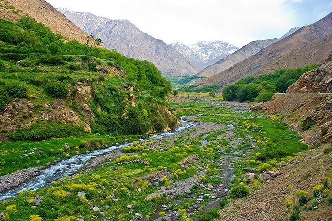 Full-Day Tour to Atlas Mountains With Zipline From Marrakesh - The Sum Up