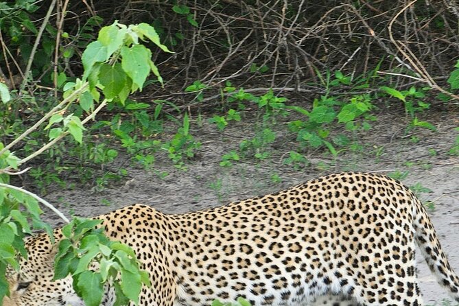 Full Day Tour to Chobe National Park and Botswana - Booking Confirmation and Recommendations