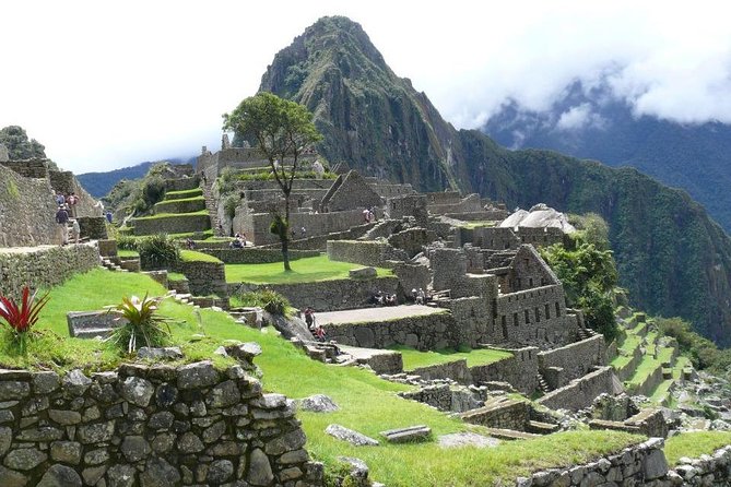 Full-Day: Tour to Machu Picchu by Vistadome Train - Traveler Reviews