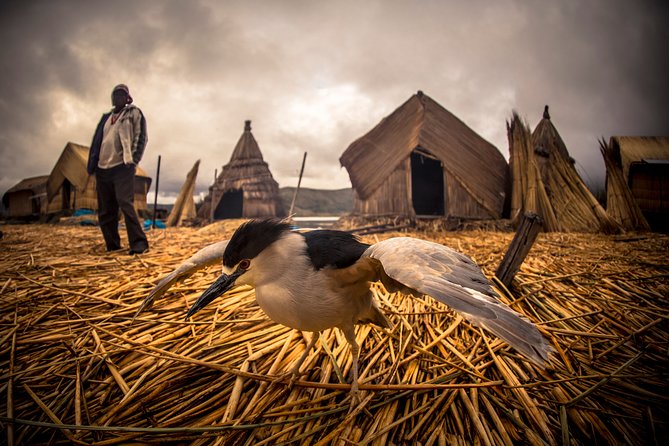 Full-Day Tour to the Floating Islands of Uros & Taquile Including Lunch - Frequently Asked Questions