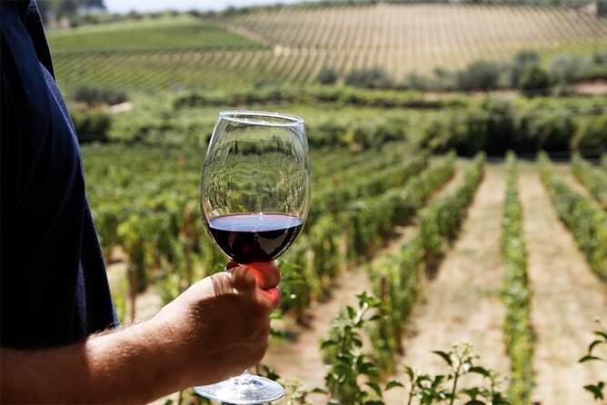 Full Day Wine Tour and River Cruise at Douro Valley - Pricing and Booking Information