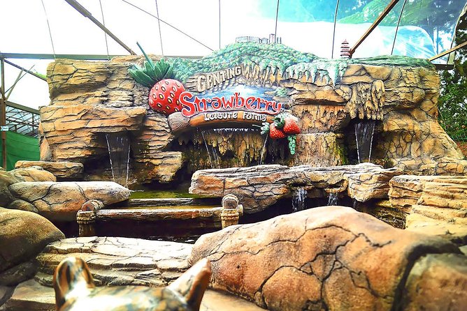 Genting Highland Day Trip Include 2-way Cable Car Tickets - Cable Car Ride Experience