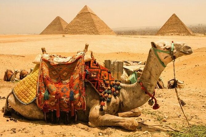Giza Pyramids, Sphinx, Sakkara and Memphis With Lunch & Camels - Start Time and Additional Info