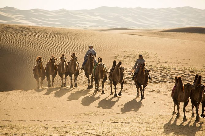 Gobi Desert, Flaming Cliffs & Ger Under Stars: 5-Day Tour - Important Reminders