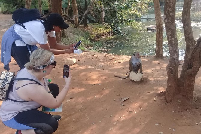 Golden Beach Negombo to Lion Rock Sigiriya Hiking - The Sum Up