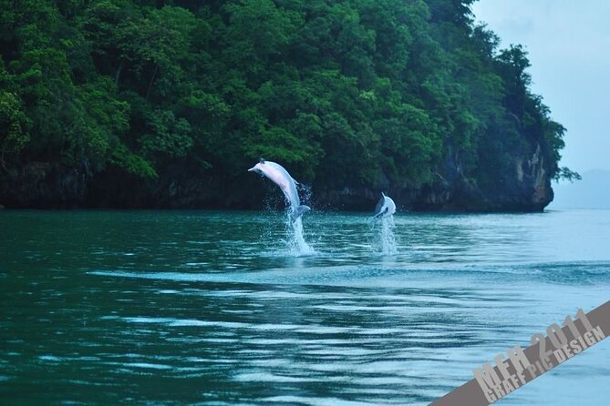 Guided Half Day Mangrove Safari Tour In Langkawi - Sharing Basis - Booking Process