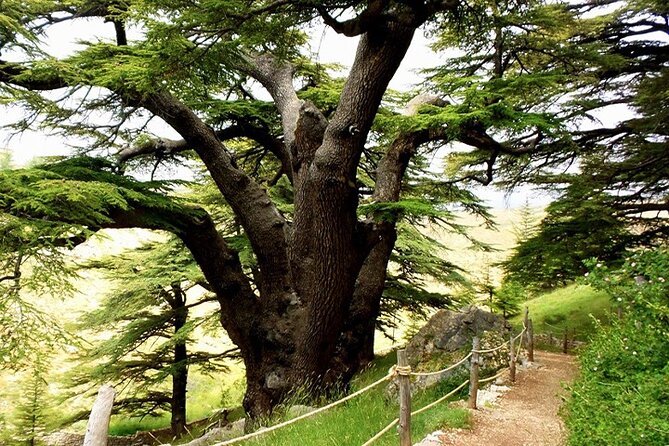 Guided Private Tour to the Cedars of God With Breakfast & Tickets - Cancellation and Reservation Policy
