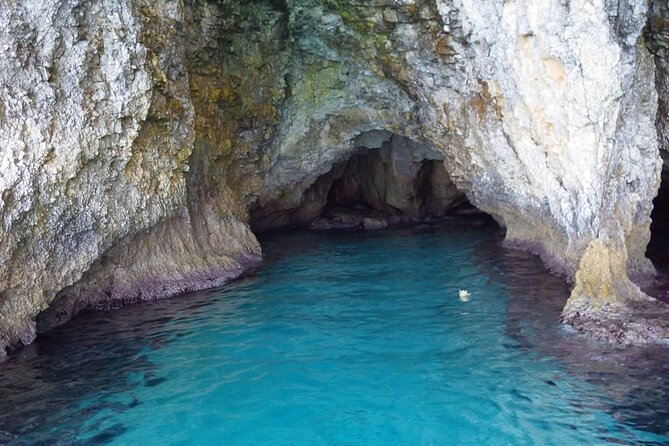 Guided Snorkeling - Agia Napa Sea Caves + Konnos Beach (No Boat) - Booking and Cancellation Policies