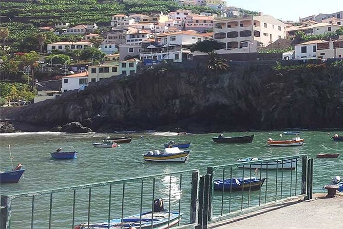 Guided Toboggan Ride and Madeira Wine Tasting Tour - Booking Flexibility