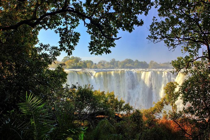 Guided Walking Tour to Victoria Falls - Meeting Point Information