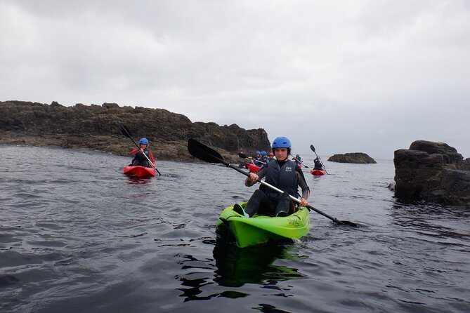 Half-Day Guided Kayak Activity in Dunseverick Harbour - Pricing and Policies