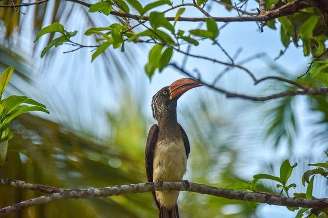 Half-Day Jozani Forest and Spice Farm Guided Tour - Cancellation Policy