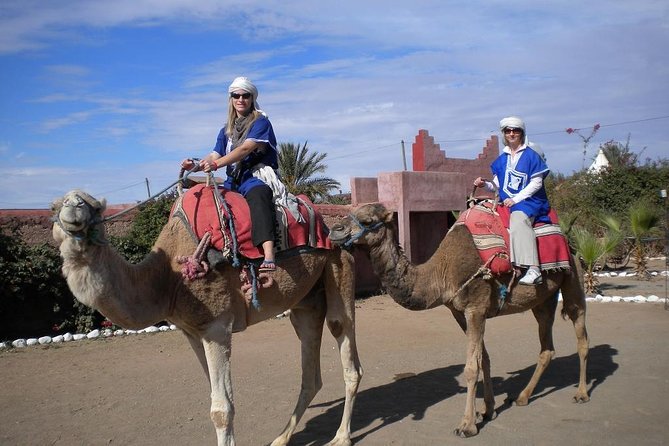 Half Day Marrakech Camel Safari - Precautions for Travelers
