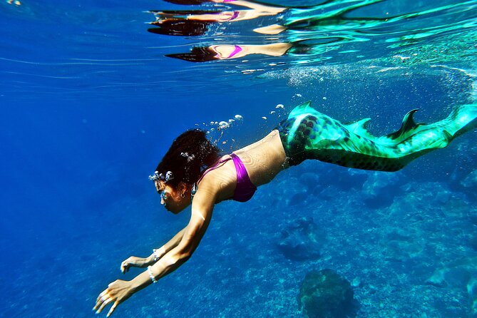 Half Day Mermaiding and Freediving in Tenerife - Expectations and Information