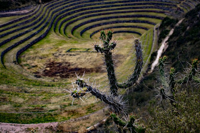 Half Day Mountain Biking Activity in Maras Moray - Recommended Gear and Preparation