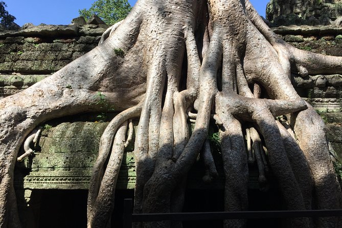 Half Day Private Tour: Tomb Raider & Banteay Kdei Temple - Booking Information