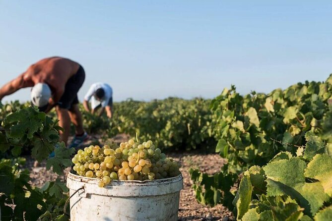 Half-Day Santorini Private Wine Tasting Tour - Booking and Cost Information