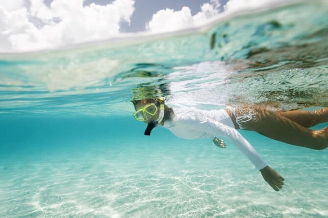 Half-day Snorkeling at Mnemba Coral Gardens - Additional Important Information