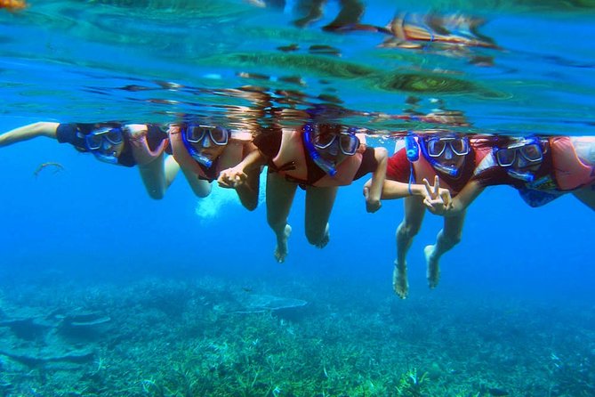 Half Day Snorkeling From Perhentian Island Terengganu - Departure Point and Time