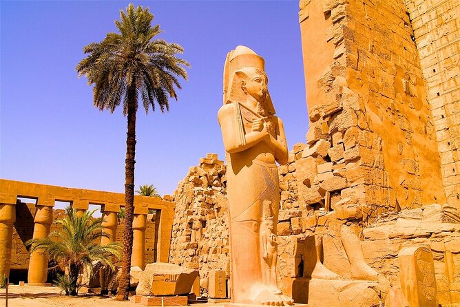 Half-Day Tour of the East Bank in Luxor - Meeting Point and Pickup