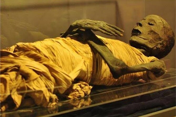 Half Day Tour to the National Museum of Egyptian Civilization - Pickup and Transportation