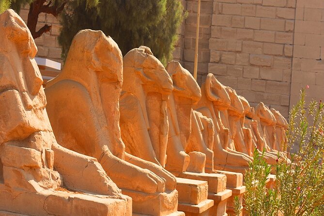 Half-Day Tour to Visit the Luxor and Karnak Temples - Tour Overview