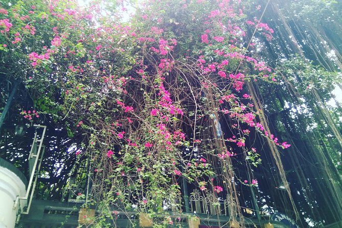 Hanoi Private Tour - The Sum Up