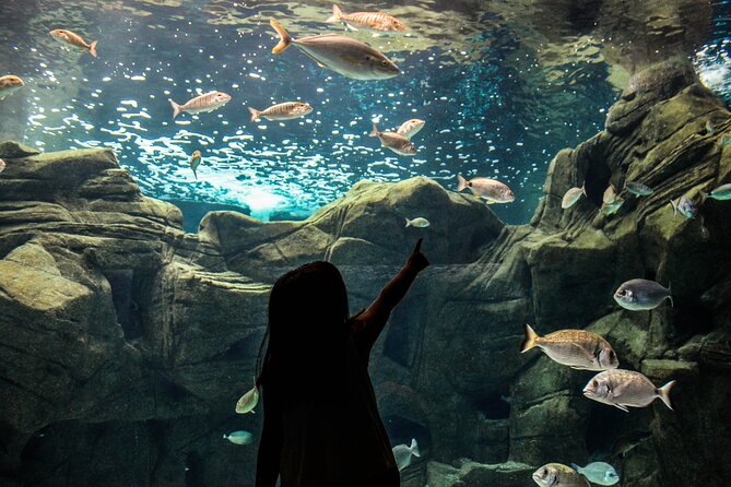 Heraklion - Market & Cretaquarium Tour From Heraklion - Inclusions