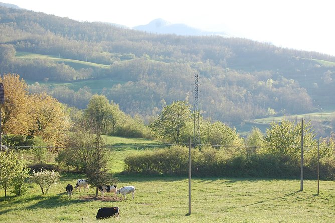 Hidden Treasures in Ceno Valley, Closely South of Parma. - The Sum Up