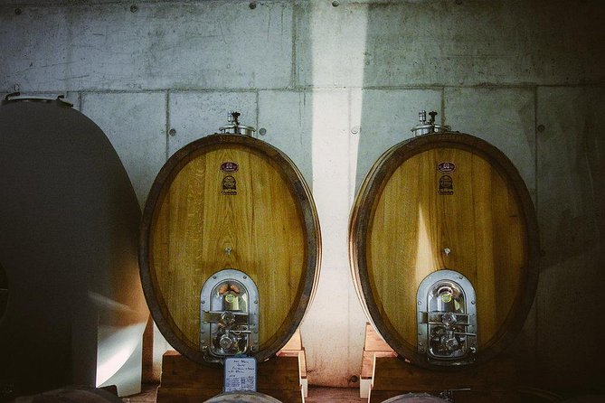 Highlights of Sète: History, Food and Wine Experience - The Sum Up