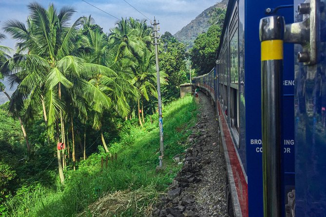 Highlights of Sri Lanka by Train (12)