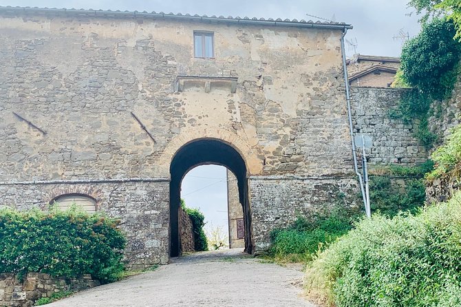 Hiking Tour Around Montalcino With Wine Tasting and Typical Lunch! - Tips for a Great Experience