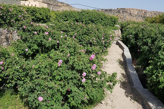 Historical City of Nizwa - Confirmation and Booking Process