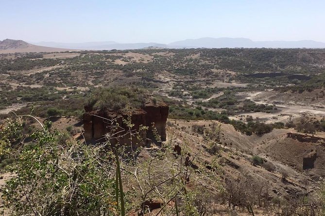 Historical Tour Tour at Olduvai Gorge - Accessibility Notes