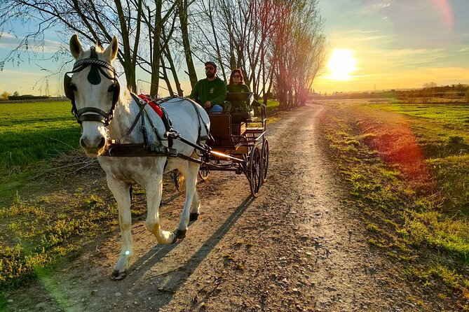 Horse Carriage Tour and Wine Tasting in Lazise - Booking Information