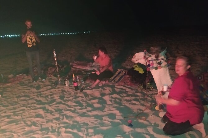 Horse Drawn Carriage 3 Hours With BBQ Dinner at the Desert, Transfer - Hurghada - Group Size Limitations