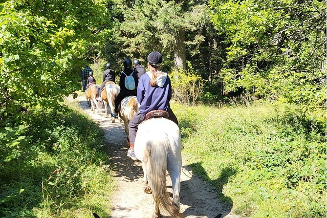 Horse Riding Experience From Borovets - Maximum Weight and Age Limits