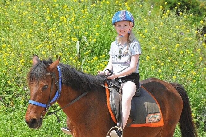 Horse Riding Tour in Bodrum With Roundtrip Transfer - Why Choose Bodrum for Horse Riding