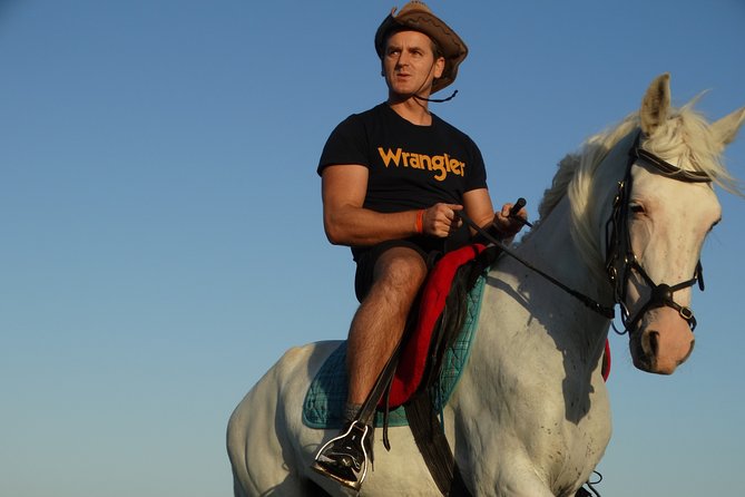 Horse Riding Two Hours at Amazing Desert With Transfer - Marsa Alam - Cancellation Policy Details