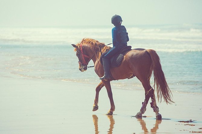 Horseback Riding: PLAYA BLANCA Advanced Riders - Tangier - 1 Hour - Directions to Mnar Castle