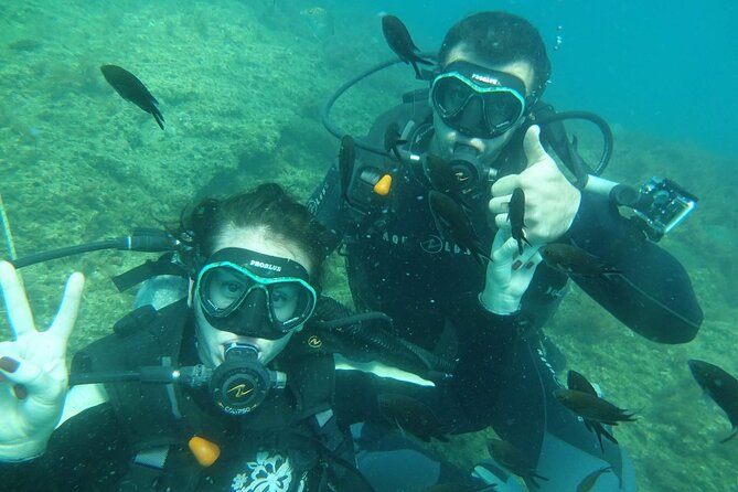 Hurghada Diving Excursion With 2 Stops for Beginners - Dive Site 2: Underwater Wildlife