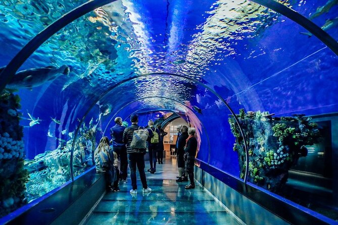 Hurghada Grand Aquarium Tour With Skip the Line Ticket - Nearby Attractions to Explore