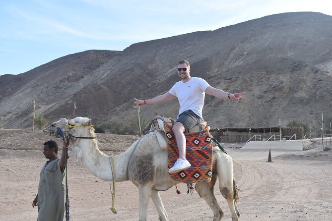 Hurghada Star Watching and Tour in the Desert - Booking Directions