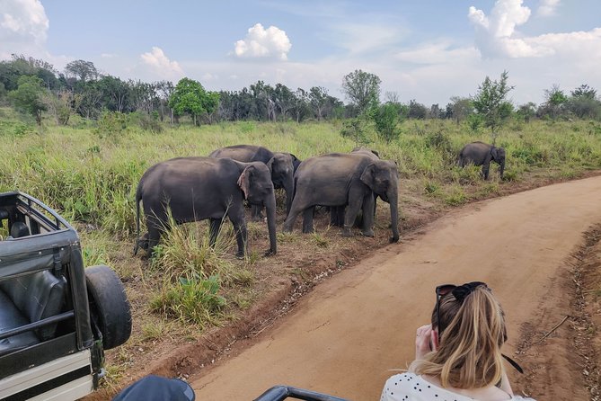 Hurulu Eco Park Private Safari From Dambulla - Additional Information