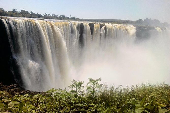 Hwange Safari Day Trip From Victoria Falls - Cancellation Policy