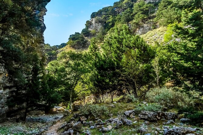 Imbros Gorge Tour From Rethymno - Hiking Experience