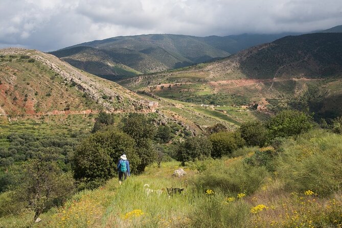 Imperial Cities, Desert Grand Tour & Hiking in the Atlas - 12 Days - Important Considerations
