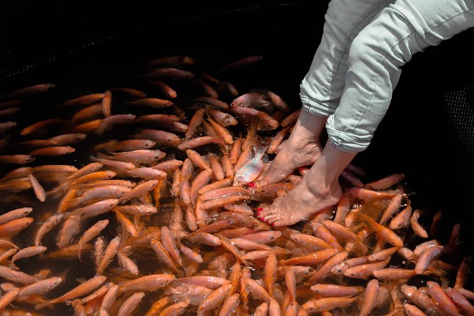 Island of Wonder (5 Days) - Important Reminders